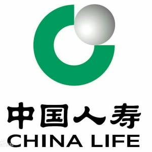 中国人寿保险股份有限公司南昌市洪城支公司