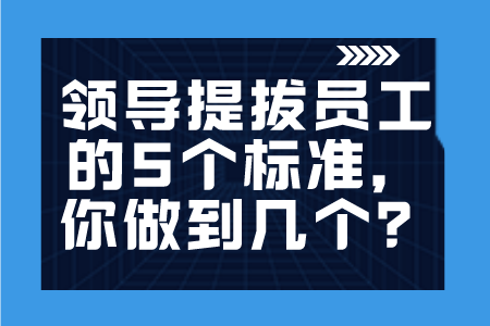 职场晋升：领导提拔员工的5个标准，你做到几个？
