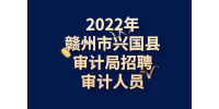 2022年赣州市兴国县审计局招聘审计人员