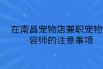 在南昌宠物店兼职宠物美容师的注意事项
