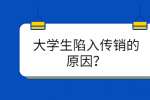 大学生陷入传销的原因？