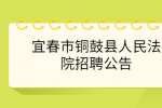 宜春市铜鼓县人民法院招聘公告