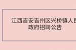 江西吉安吉州区兴桥镇人民政府招聘公告