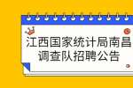 江西国家统计局南昌调查队招聘公告