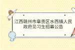 江西招聘网：赣州市章贡区水西镇人民政府见习生招募公告