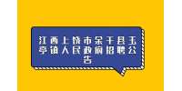 江西上饶市余干县玉亭镇人民政府招聘公告
