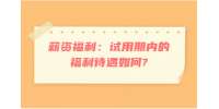 薪资福利：试用期内的福利待遇如何?