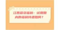 试用期内的福利待遇如何？
