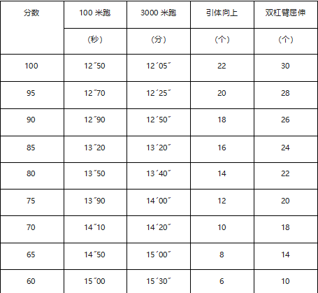 政府专职消防员体能测试评分标准