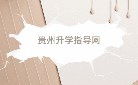 贵州人才引进