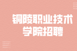 铜陵职业技术学院招聘工作人员29人