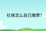 南昌社保纠纷|社保怎么自己缴费?