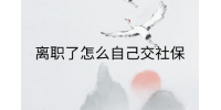 南昌社保纠纷|离职了怎么自己交社保?