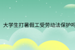 江西劳动法规|大学生打暑假工受劳动法保护吗?