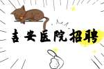 吉安医院招聘护士条件有哪些?